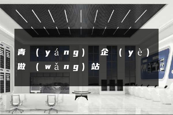 青陽(yáng)縣企業(yè)做網(wǎng)站