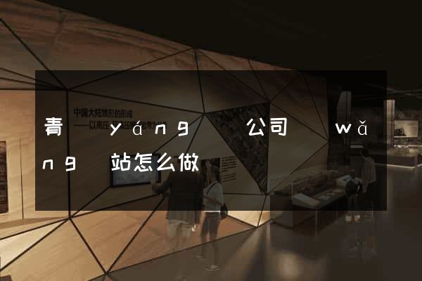 青陽(yáng)縣公司網(wǎng)站怎么做