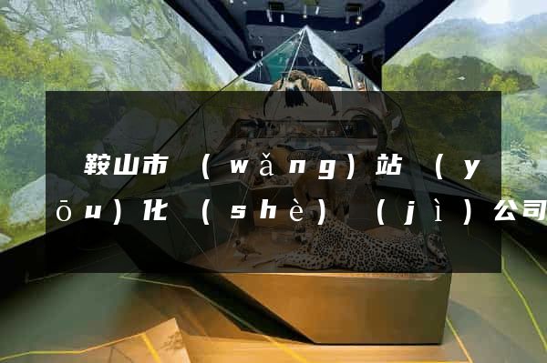 馬鞍山市網(wǎng)站優(yōu)化設(shè)計(jì)公司