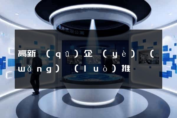 高新區(qū)企業(yè)網(wǎng)絡(luò)推廣