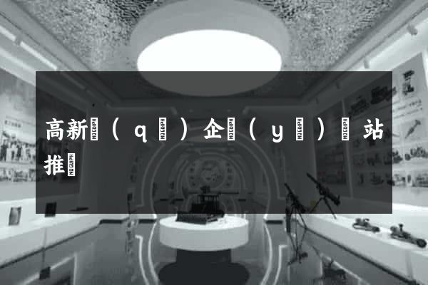 高新區(qū)企業(yè)網站推廣